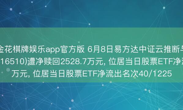 金花棋牌娱乐app官方版 6月8日易方达中证云推断与大数据主题ETF(516510)遭净赎回2528.7万元， 位居当日股票ETF净流出名次40/1225